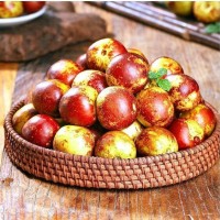 正宗陕西大荔冬枣新鲜大枣特大脆甜冬枣新鲜水果顺丰5斤整箱包邮